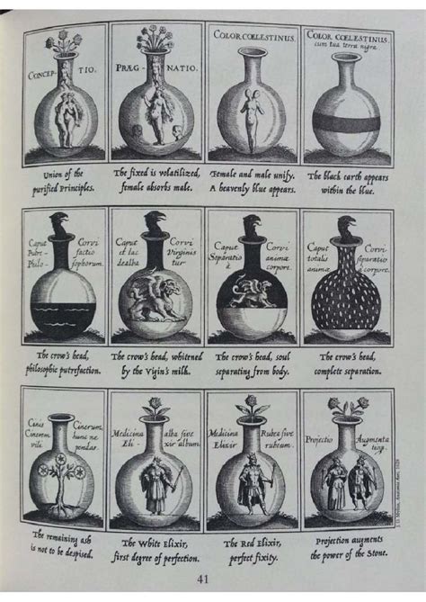 Philters and Philtres: A Journey into the World of Love Potions